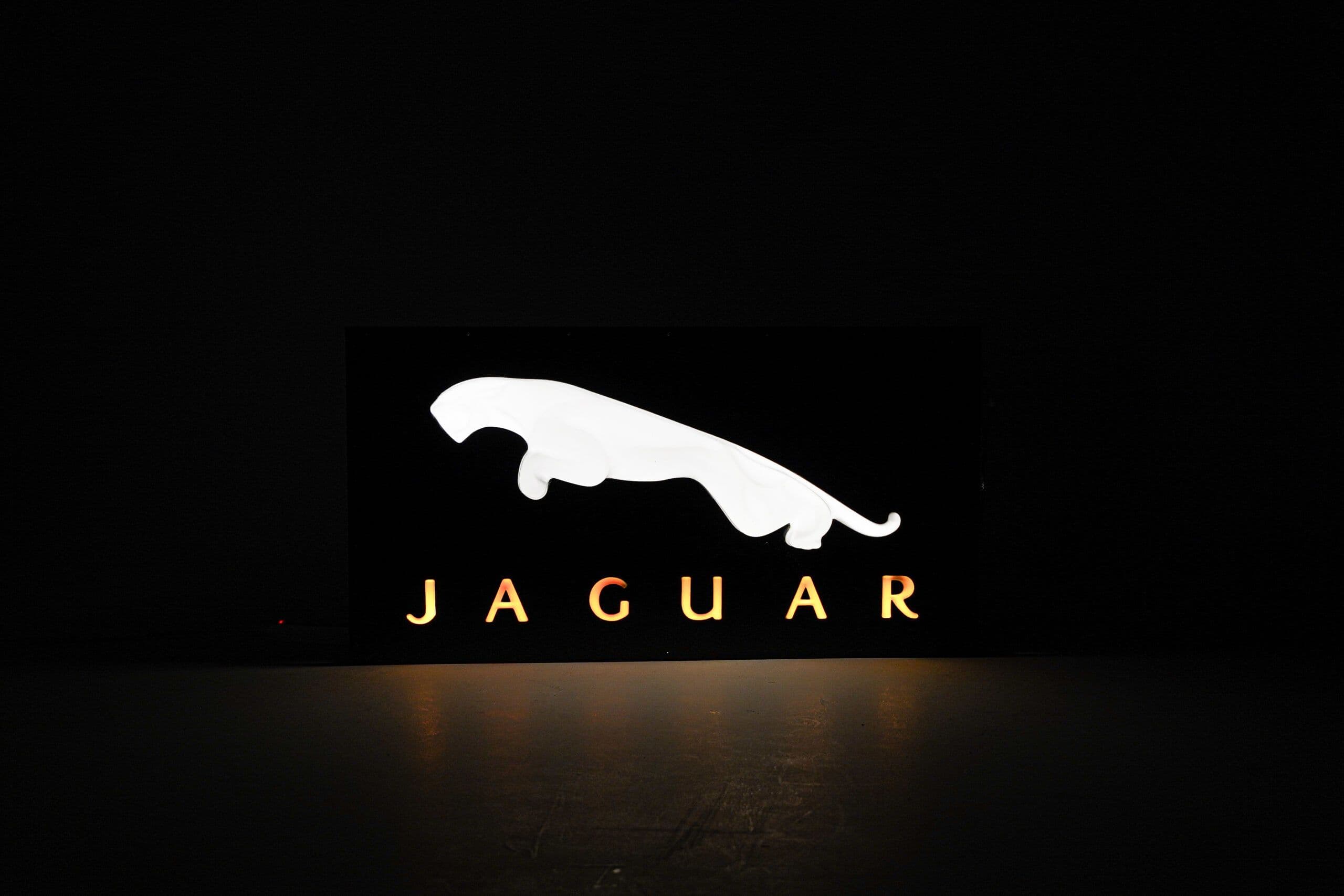 Jaguar Wall Sign - Angle view
